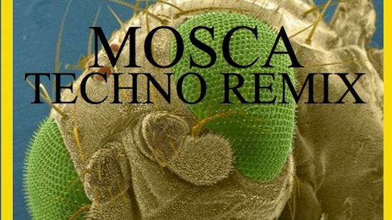 MOSCA Techno Remix